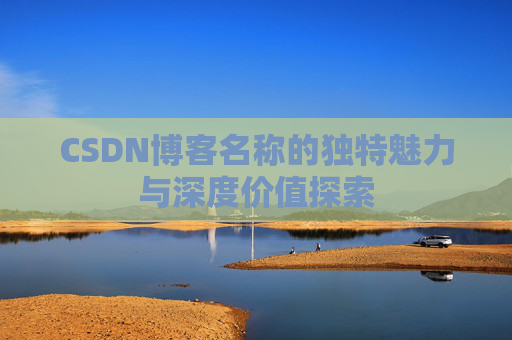 CSDN博客名称的独特魅力与深度价值探索